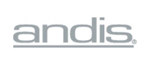 Andis International 